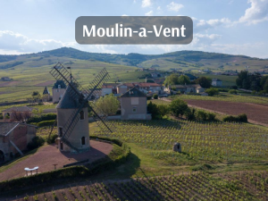 Moulin-a-Vent (800 x 600 px)